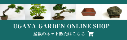 宇賀屋ガーデンのWEBサイトを公開しました